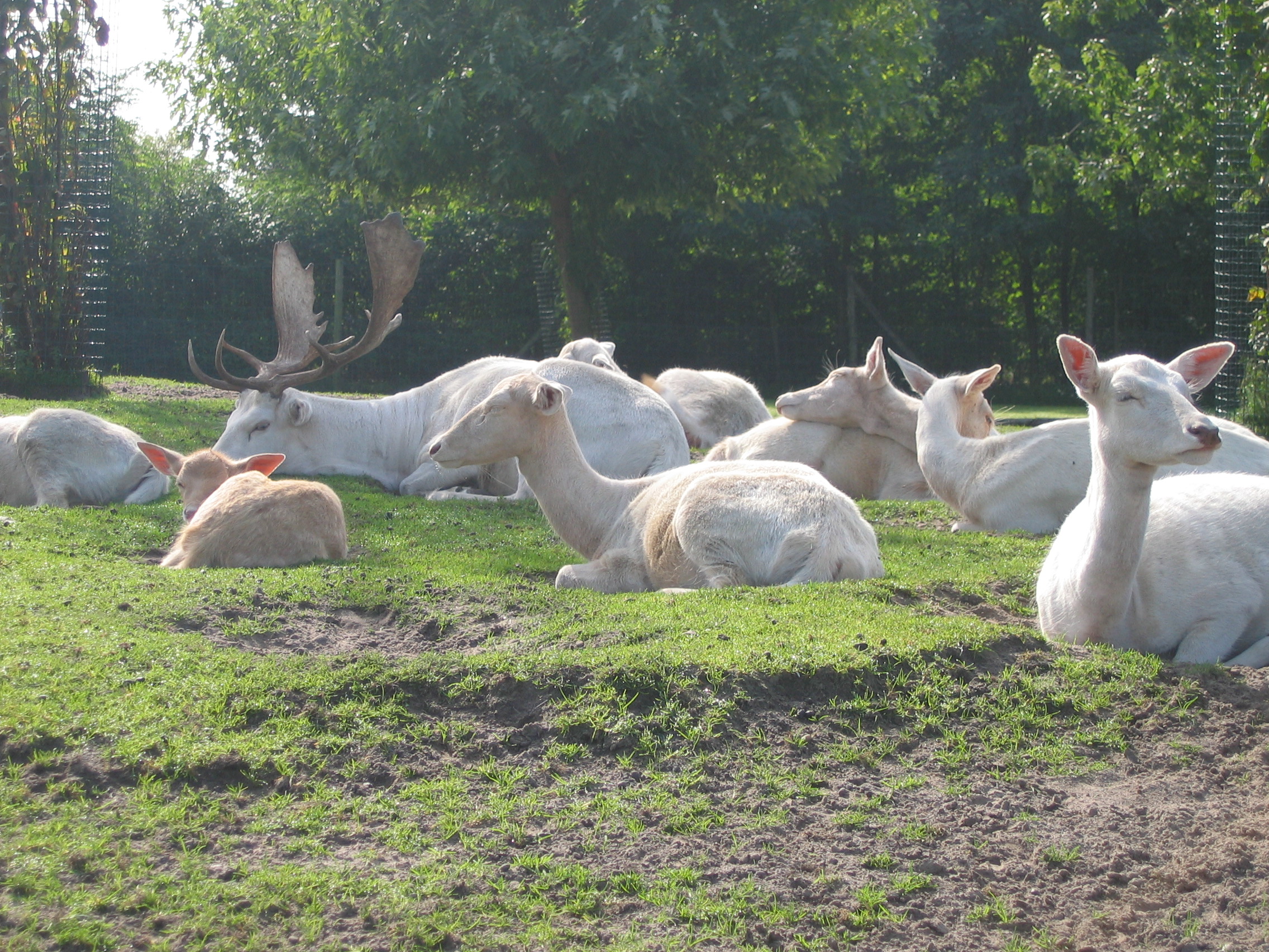 Als thuis niet veilig is….