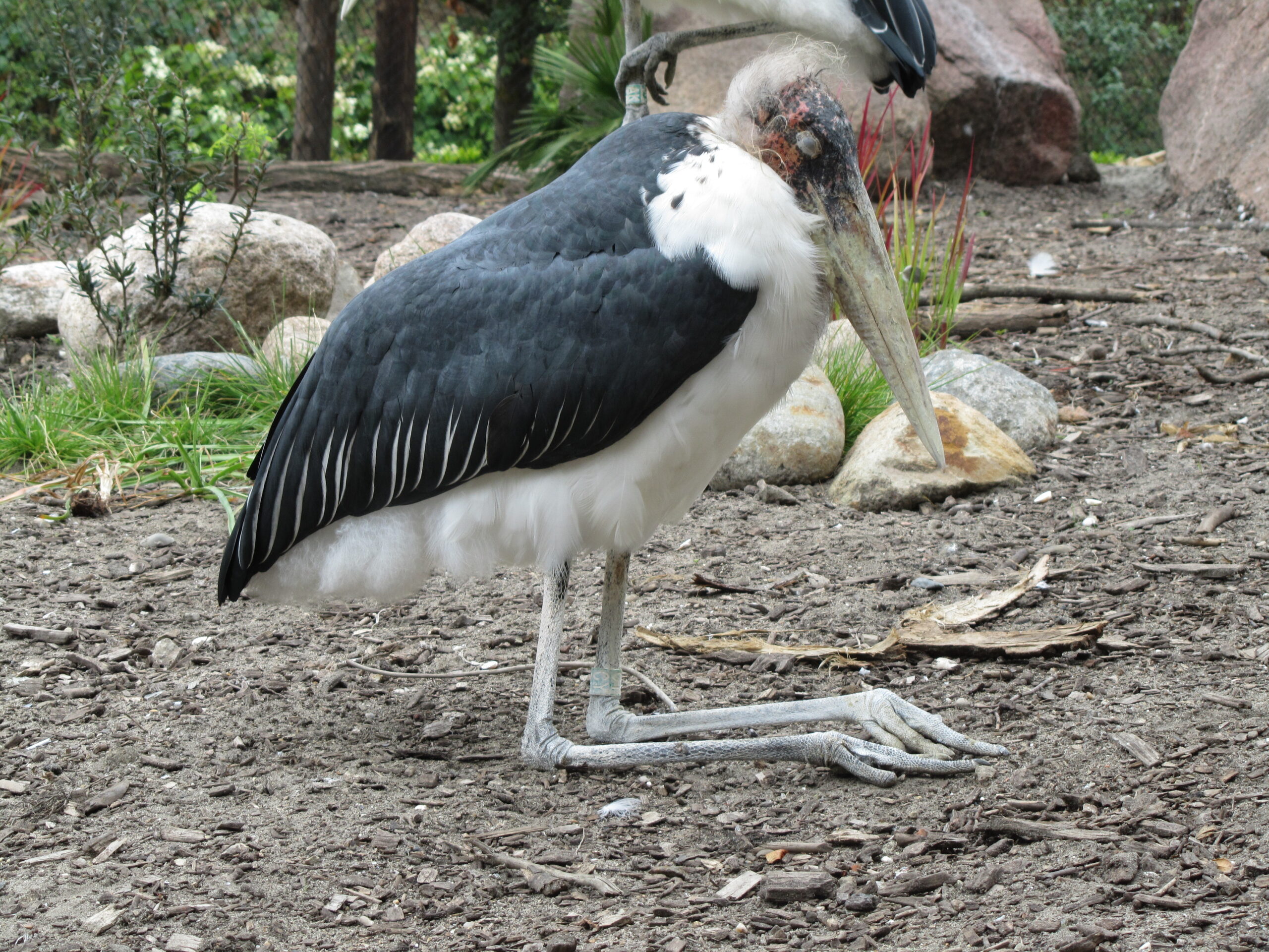 kijk eens om je heen in de vakantie