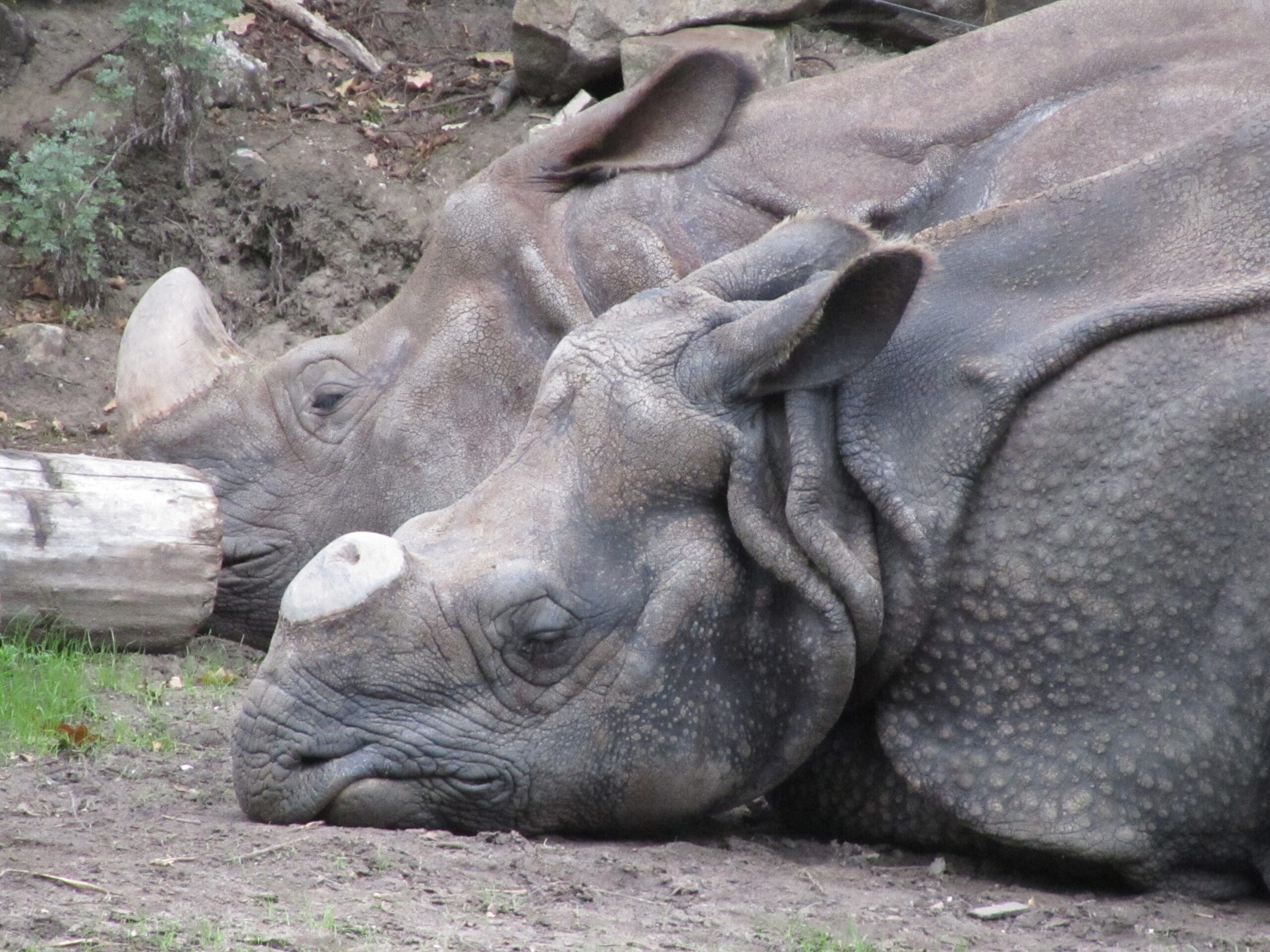 Weer dealen met gevolg van….