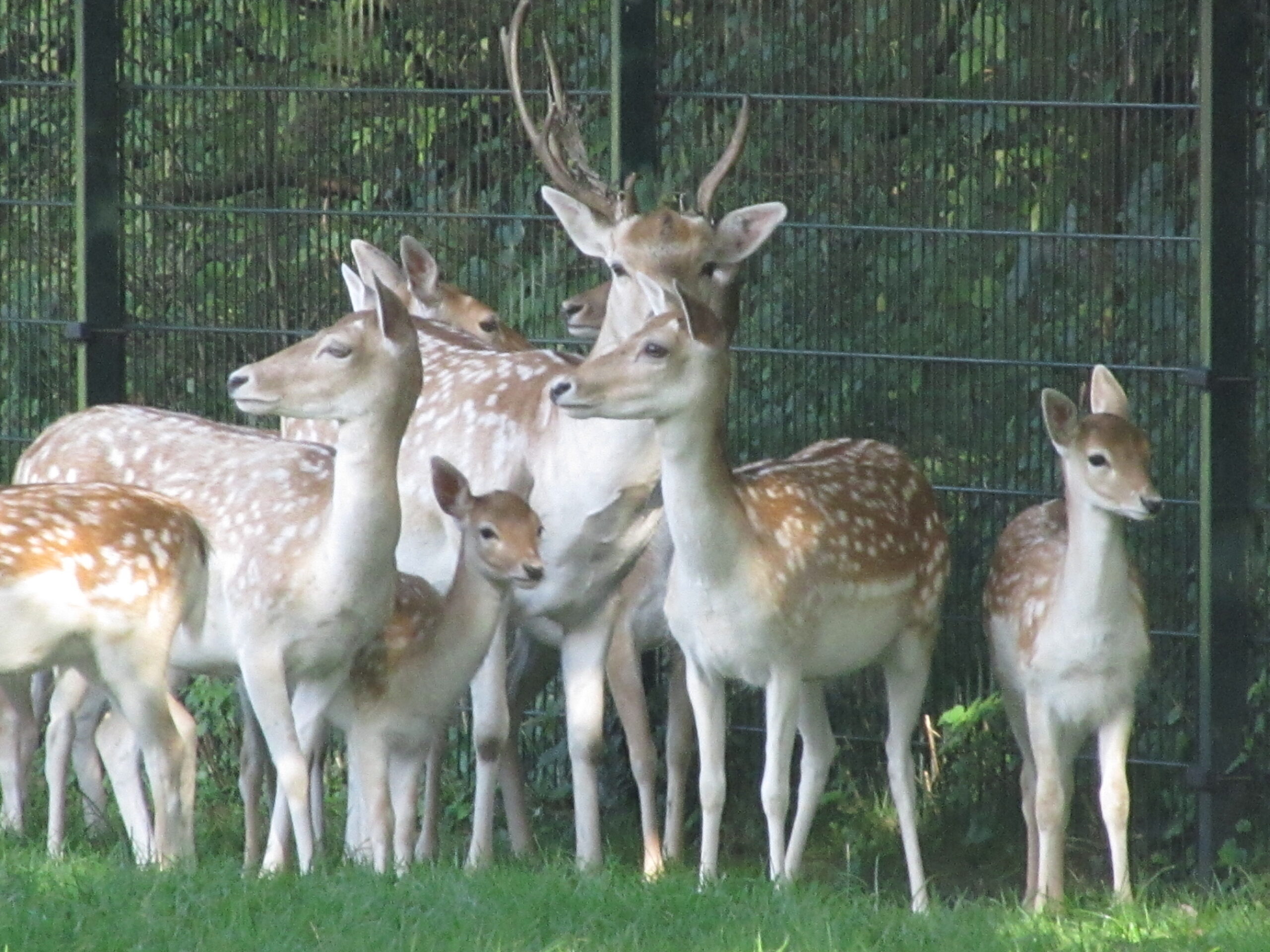 Jarig, niet voor ieder kind een feest